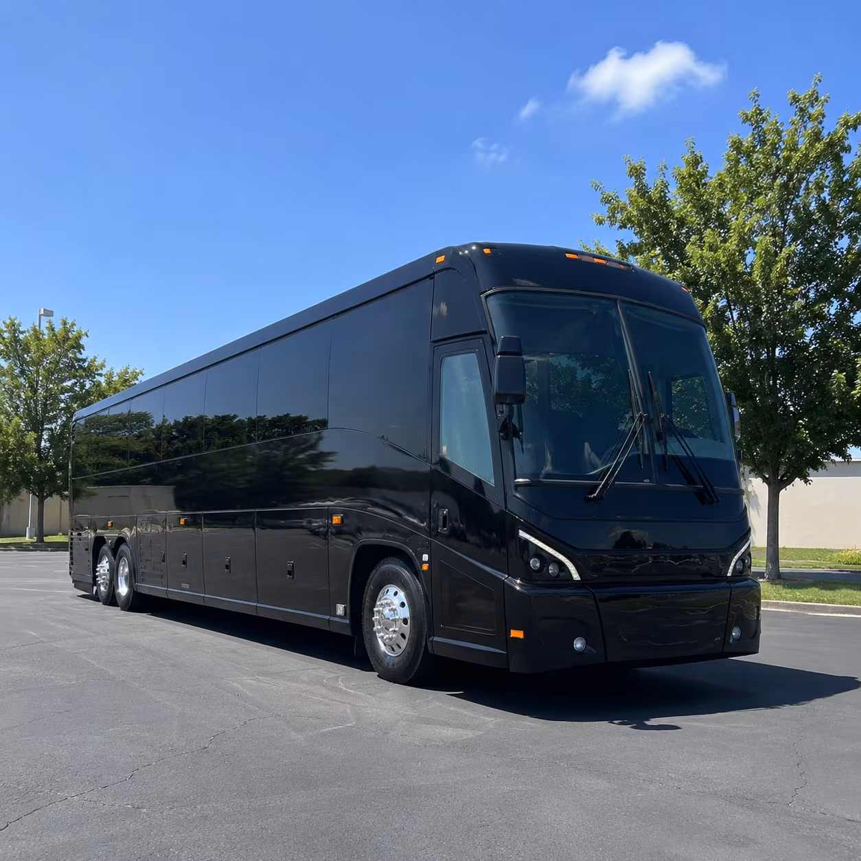 reserve transportation for your next wedding 3