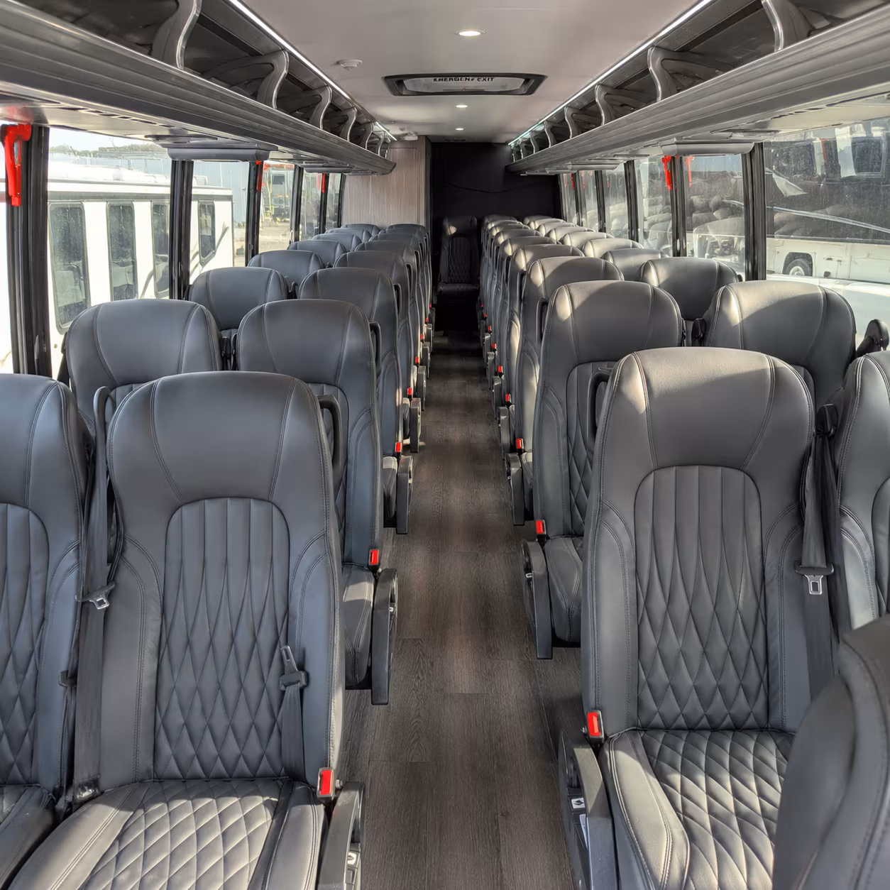 springdale bachelor bachelorette transportation onboard